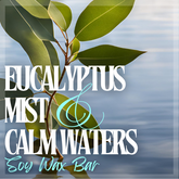 🌿Eucalyptus Mist And Calm Waters Soy Wax Bar🌿