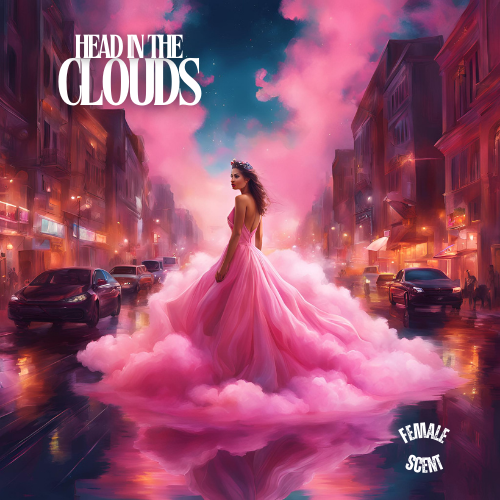 Woman wearing flower garland in her long brown hair, in a backless pink gown that flows into pink clouds, she is stood in the middle of the road, and everything looks like it has been painted, the cars and people are slightly blurred. The sky is pink and dark midnight blue.  The name 'Head In The Clouds' is written in the top left corner