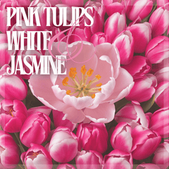 Pink Tulip And White Jasmine Soy Wax Bar