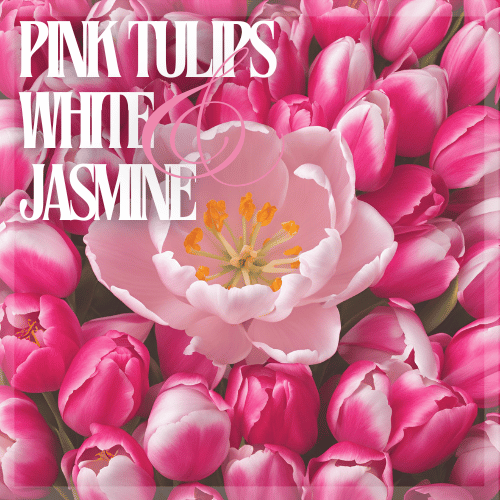 An up close shot of a bouquet of pink tulips with a white jasmine flower in the centre in full bloom. The name is written oversized in the top lefthand corner in baby pink, with an oversized script-style pink ampisand symbol